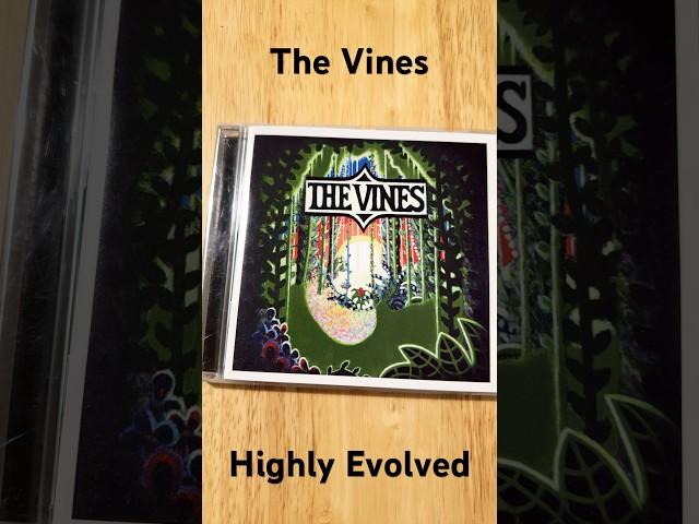 #thevines #cds #musicalbums #musiccds #musiccollection #cdart #musicart #music #art