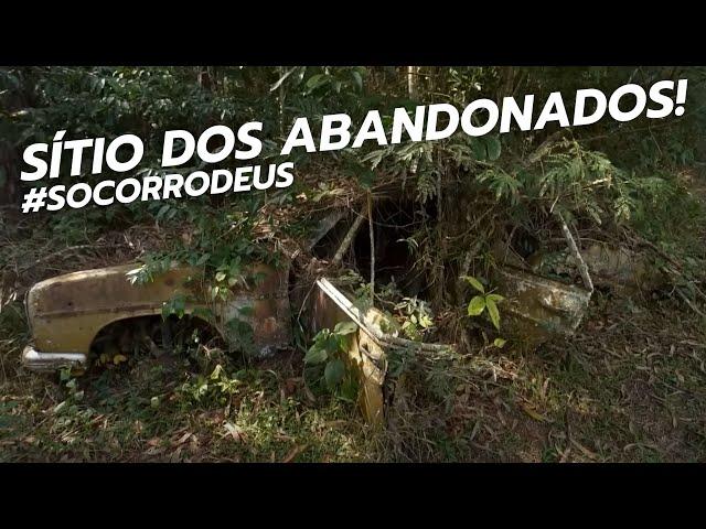 SÍTIO COM CARROS RAROS ESQUECIDOS POR MUITOS ANOS! #SITIORAROS