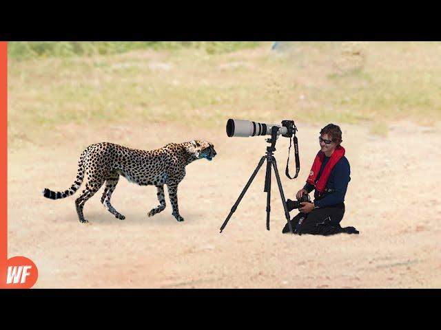 When Wild Animal Surprise Photographers..Unexpected Moments