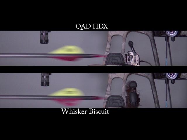 Whisker Biscuit vs QAD HDX