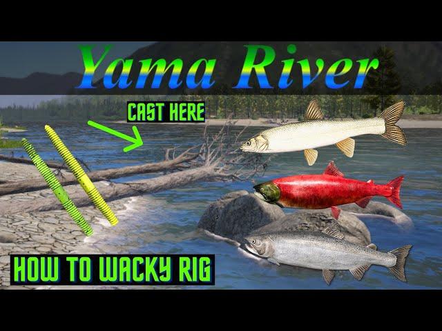 Russian Fishing 4 How To Use Wacky Rig (Yama River)