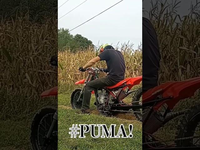 Field Test Hit on the Cr250 PUMA! 