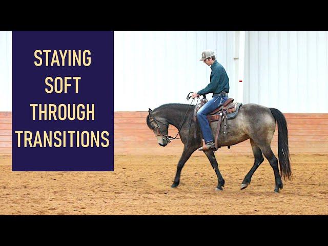 Upward Transitions - Helping a horse that raises it's head during transitions