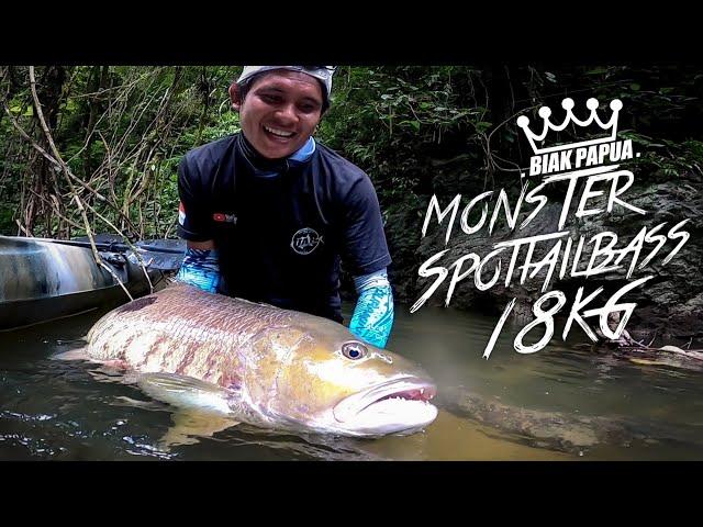 Monster Sungai Papua SPOTTAIL BASS 18KG. | Ikan sungai terbesar yang pernah saya dapat.  #68