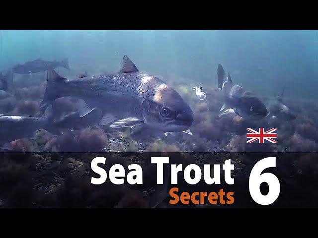 Sea Trout Secrets 6 - Fly fishing