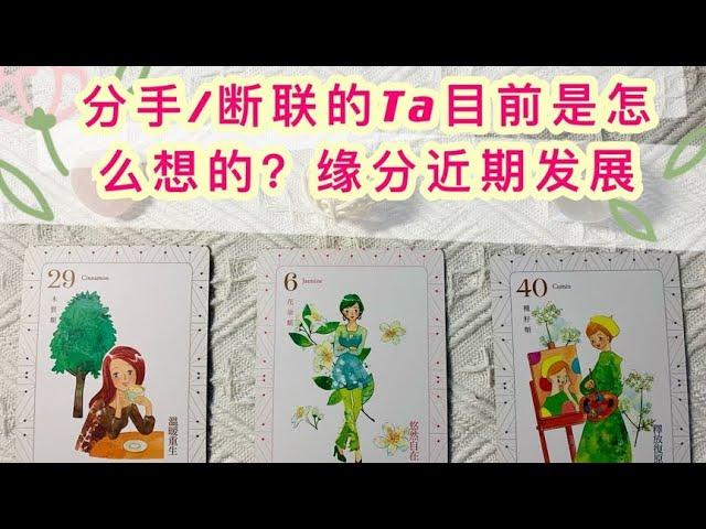 塔罗 | 分手/断联 关系不明的Ta目前是怎么想的？缘分近期发展