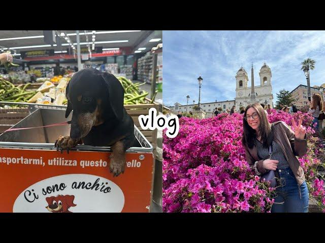 Italian vlog: una passeggiata in centro, al supermercato, un pranzo al mare a Ostia (Subtitles)