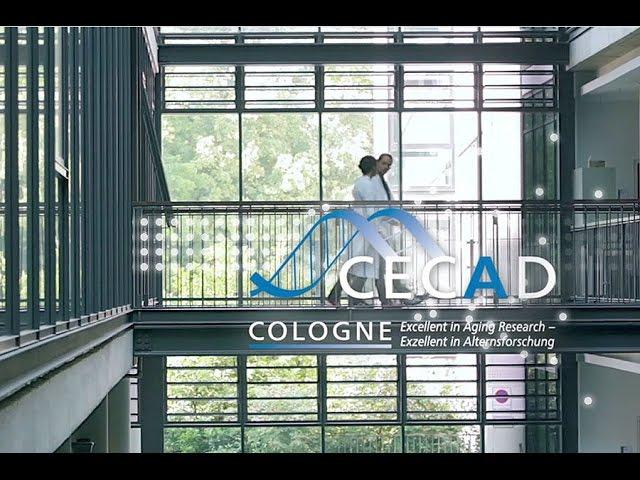 CECAD Imagefilm - English