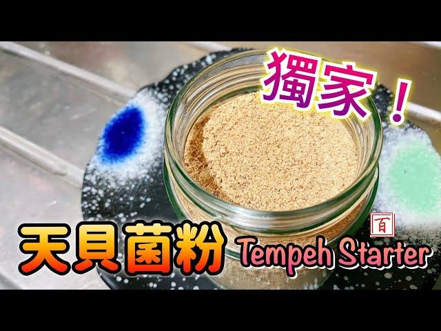 Tempeh Starter（Sub）【Hard to buy? Expensive? Homemade is easy! No need to buy starter afterward】