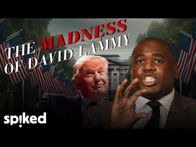 What happened to David Lammy?: A cautionary tale about Trump Derangement Syndrome