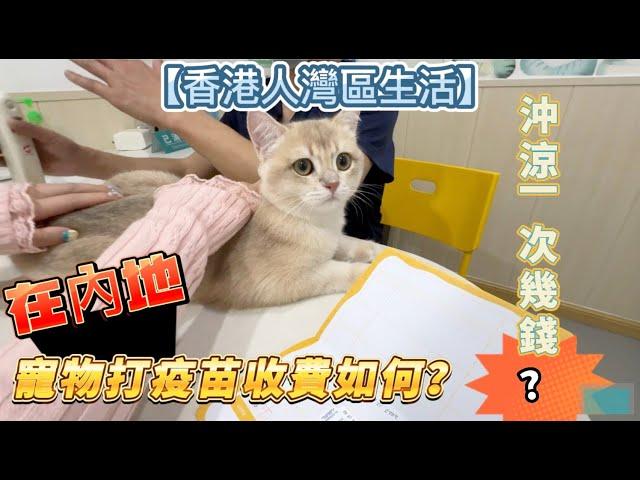 【香港人灣區生活】係內地寵物打疫苗收費如何？沖涼一次係幾錢？#大灣區生活 #香港人在肇慶#寵物