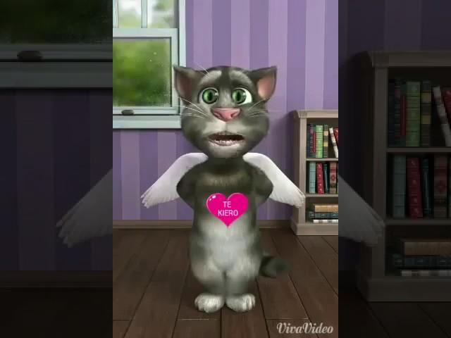El gatoconbotas
