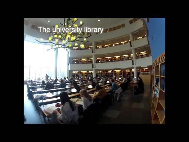 Unlimited - School of Business Economics and Law, University of Gothenburg, Sweden