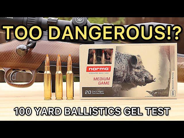 308 Winchester Norma TIPSTRIKE! Ballistics Gel Ammo Test