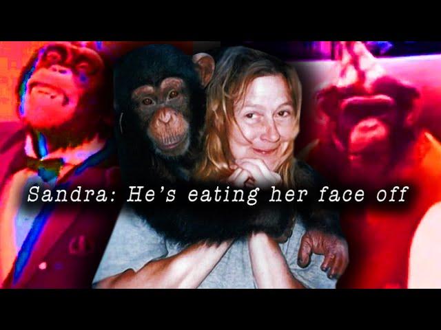 The Disturbing Case of Travis The Chimp