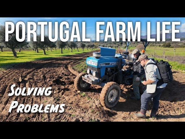 Planting Crops on the Farm - PORTUGAL FARM LIFE