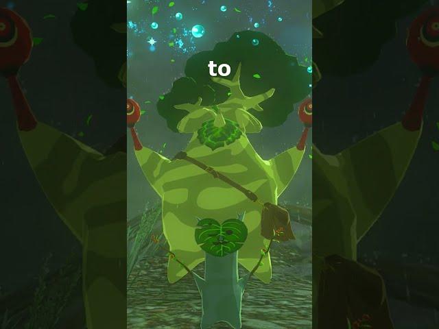How to Find Hestu in 1 Minute and Upgrade Your Inventory Space Legend of Zelda, Tears of the Kingdom