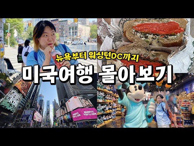 인급동 진출한️14박15일 뉴욕&워싱턴DC 여행 브이로그몰아보기(①~③편 까지)