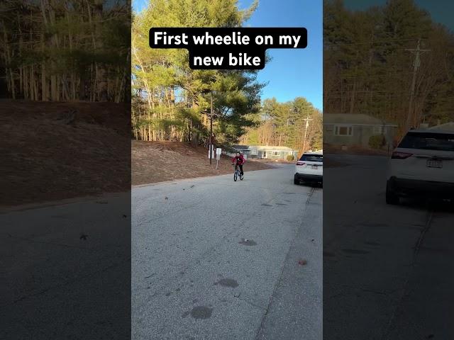 First wheelie on my new Haro #bicycle #newbike #haro #shredder #bmx #shorts