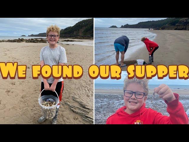 Cockle picking in saundersfoot harbour west Wales Pembrokeshire