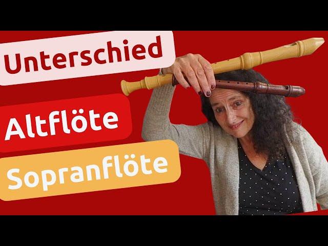 Unterschied Altblockflöte - Sopranblockflöte I Das musst du wissen! #blockflöte #recorder #flöte