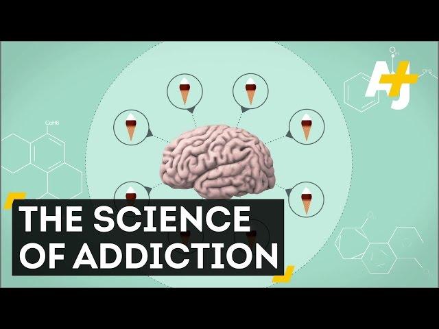 How Drug Addiction Works