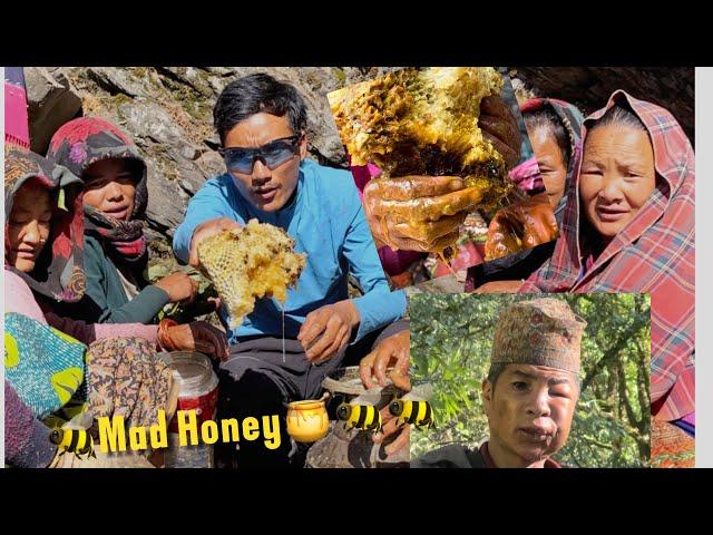 Hunting Nepal’s Mad Honey   That Makes You Hallucinate  || Honey Hunters ||