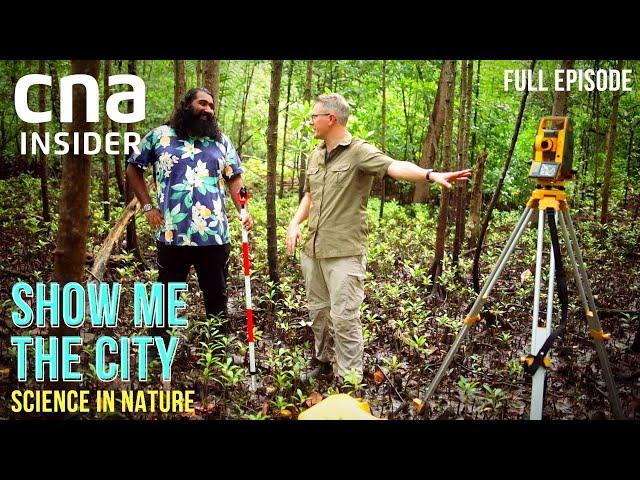 Science In Nature: Spotting Heron Birds & Understanding Mangroves | Show Me The City | Full Episode