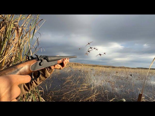 This HIDDEN Lake was LOADED with MALLARDS! (LIMITED OUT)