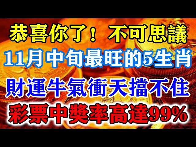 恭喜你了！不可思議！11月中旬最旺的5生肖，財運牛氣沖天擋不住！彩票中獎率高達99%！#運勢 #風水 #佛教 #生肖 #发财 #横财 【佛之緣】