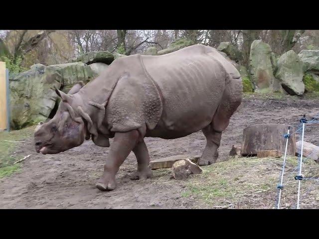 zoo Warsaw - animals part 1