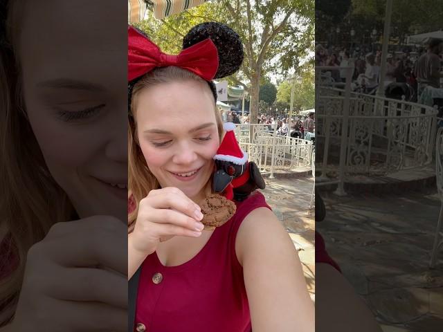 Just a girl and her crow ‍⬛ #disney #disneyland #crow #birds #disneyworld