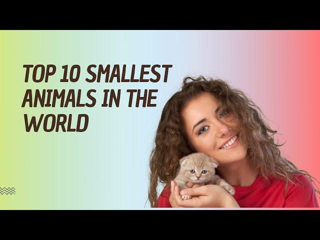 Top 10 Smallest animals in the world | Animals Pro Zoo