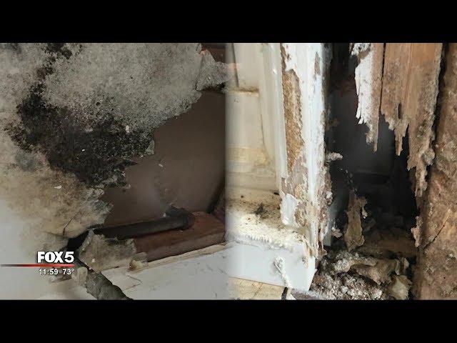 I-Team: 'Newly-renovated' House Turns Out To Be Mold House