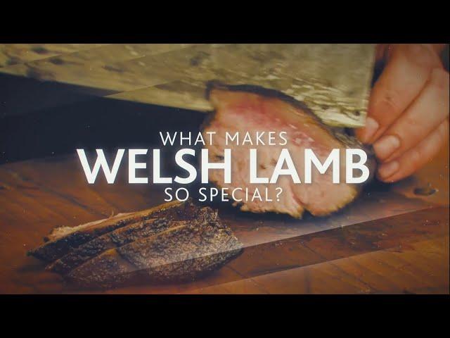 Gareth Ward's Welsh Lamb Q+A