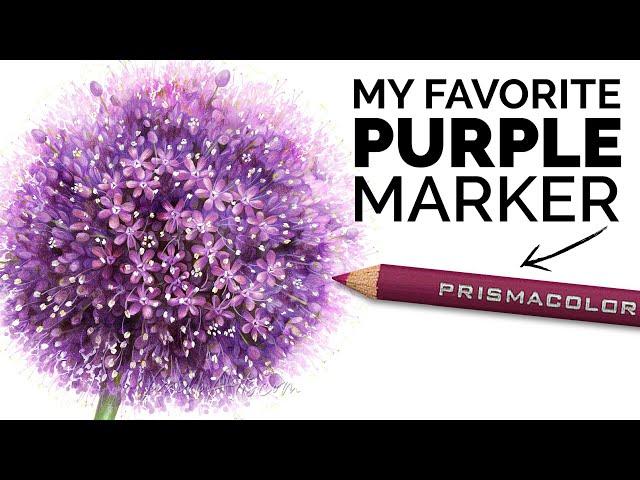 The #1 Colored Pencil Every Purple Marker Fan Needs