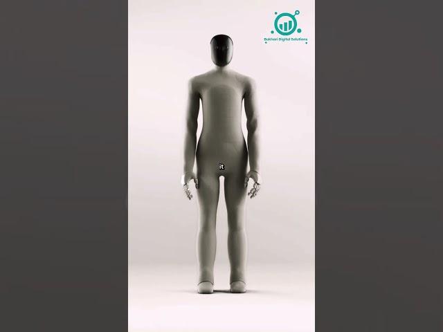 Bukhari Digital Solutions