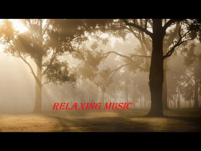 Relaxing Music || Sunrise || RK Dampanaboyina