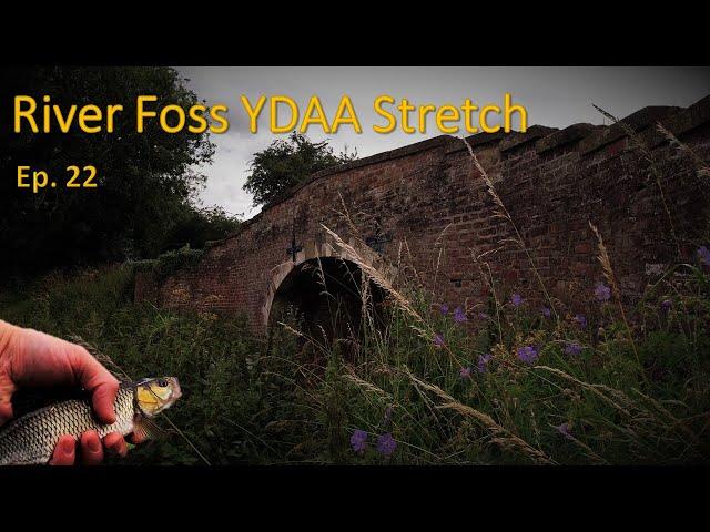 River Foss Fishing - Ep. 22: River Foss YDAA Stretch