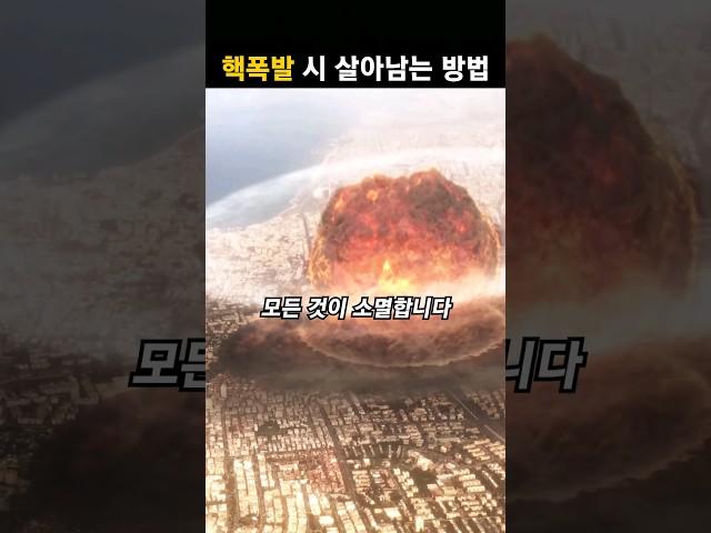 핵폭탄으로부터 살아남는 방법 #shorts