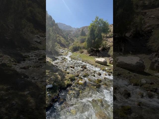 Nature of DARGI SHARIF/TAJIKISTAN