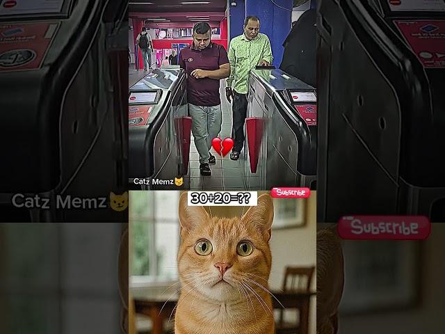 Free way to enter the room #cat #memes #funny