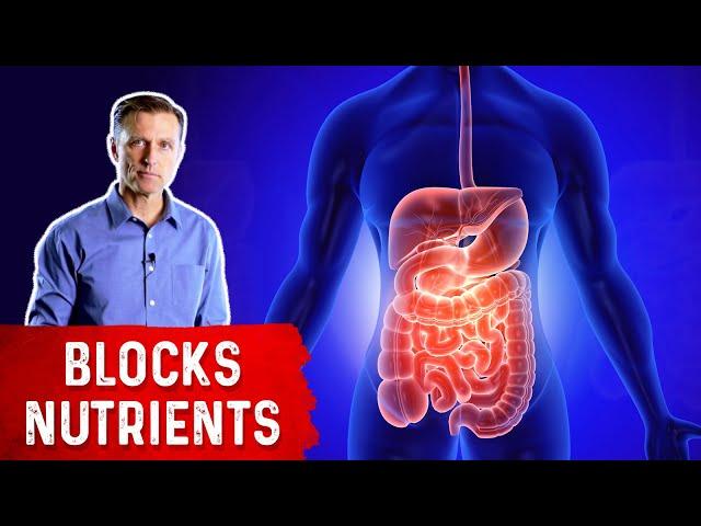 Inflamed Digestive System Blocks Nutrient Absorption