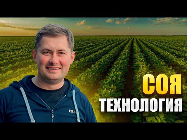 Соя. Технология. Мой опыт.