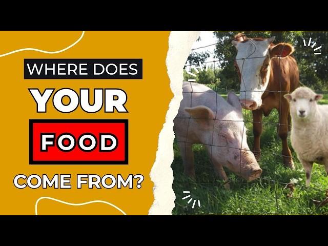 Do You Know Where Your Food Comes From? | Acme Acres: All-American Idaho Beef