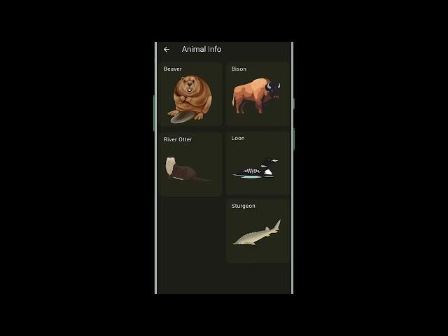 AR Animal Identification