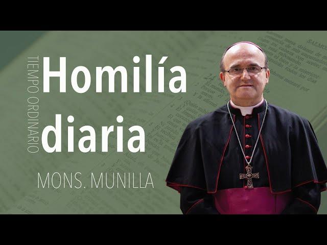 Homilía 08.10.2024 ⁄ Martes 27ª semana Tiempo Ordinario