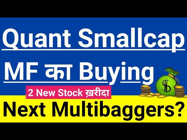 Quant Smallcap MF का Recent Buying2 New Stock ख़रीदाQuant September Factsheet Guide To Investing