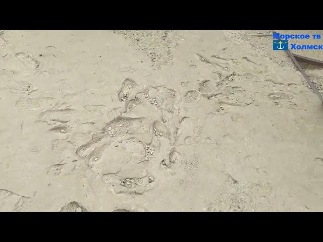 Плачевное состояние лестницы на улице Морской города Холмск
