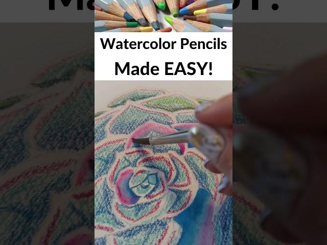 The EASIEST Way for Beginners to Use Watercolor Pencils! #Watercolorpencils
